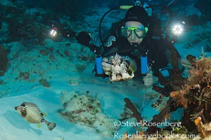 Trunkfish