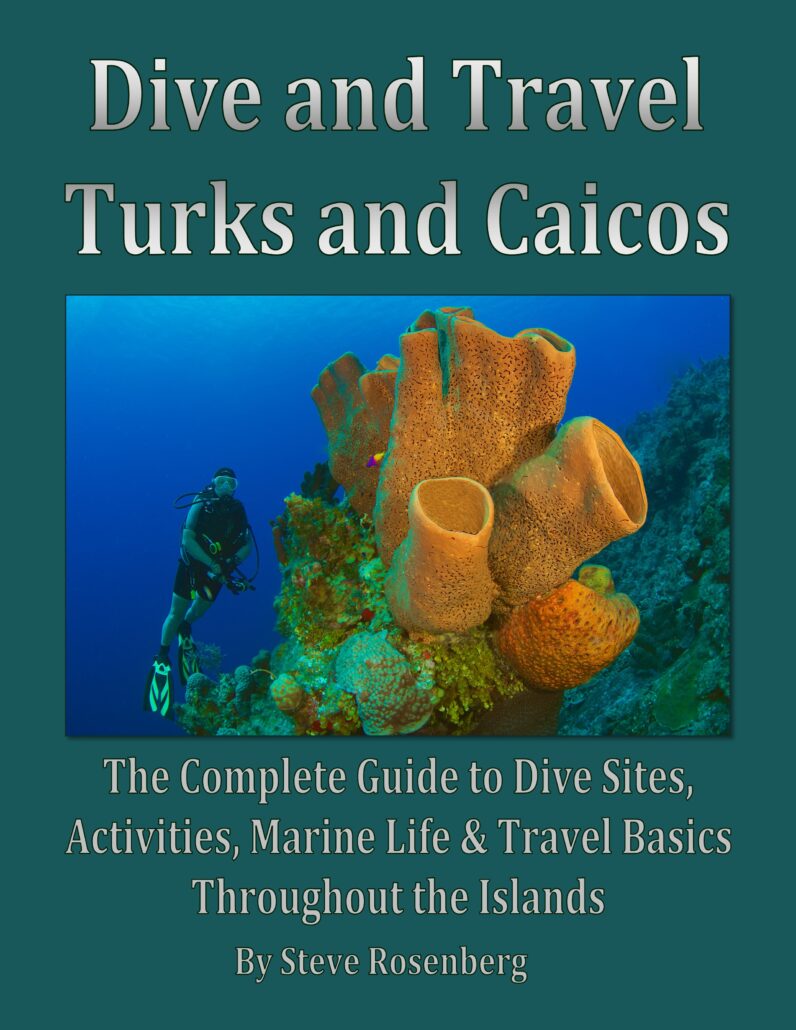 Home Dive Travel Guides